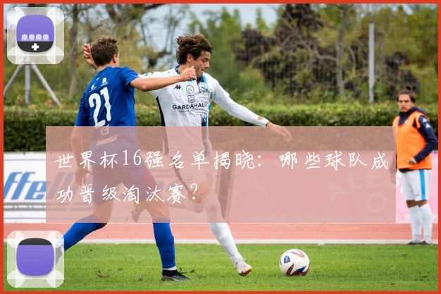 世界杯16强名单揭晓：哪些球队成功晋级淘汰赛？