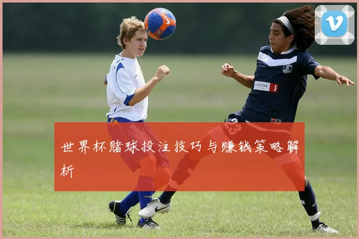 世界杯赌球投注技巧与赚钱策略解析