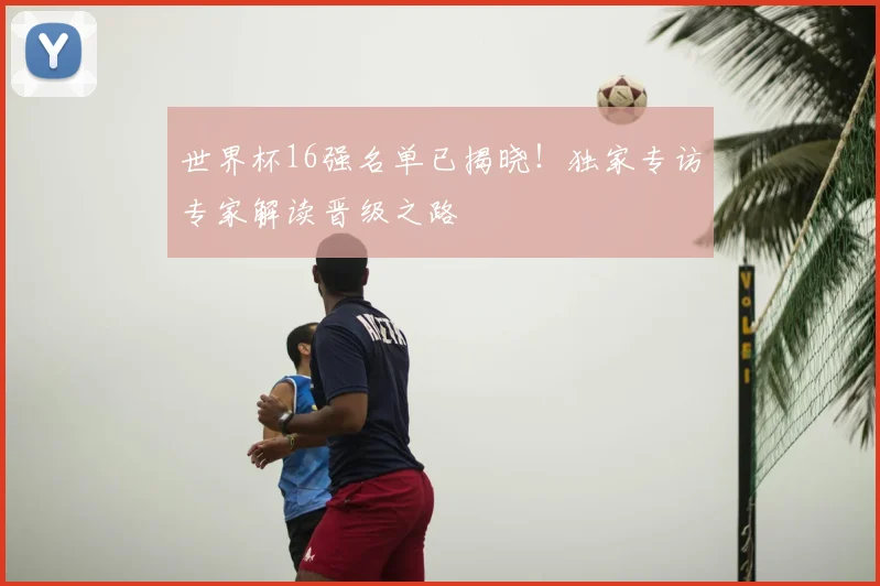 世界杯16强名单已揭晓！独家专访专家解读晋级之路