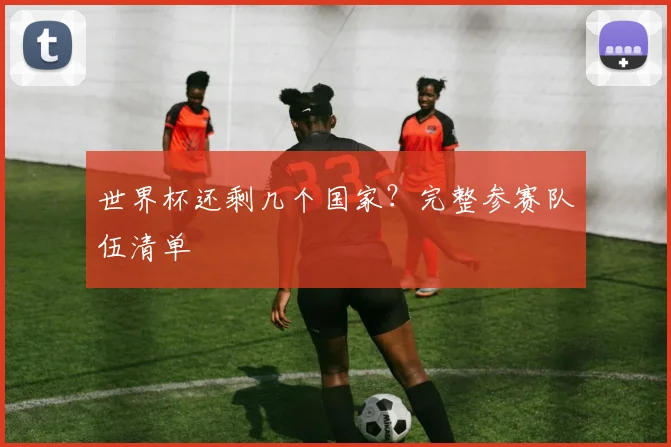 世界杯还剩几个国家?完整参赛队伍清单