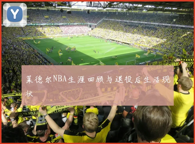 莱德尔NBA生涯回顾与退役后生活现状