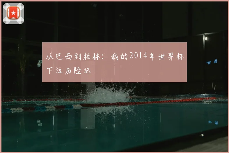 从巴西到柏林：我的2014年世界杯下注历险记