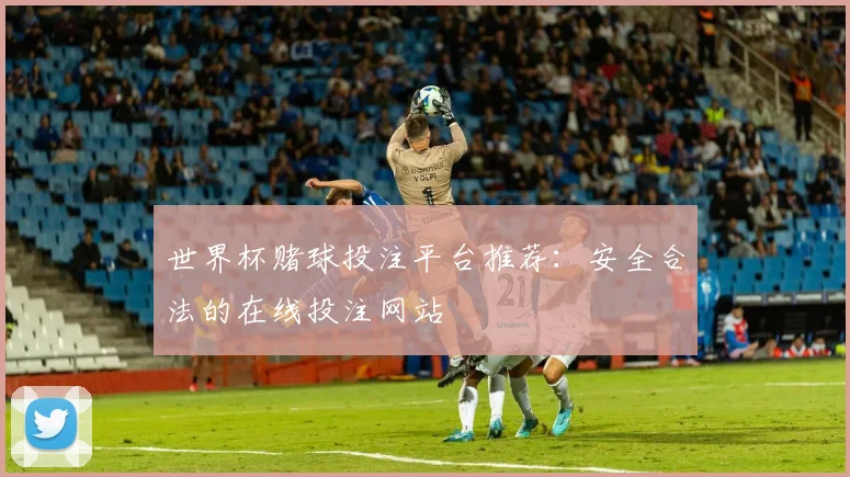 世界杯赌球投注平台推荐:安全合法的在线投注网站