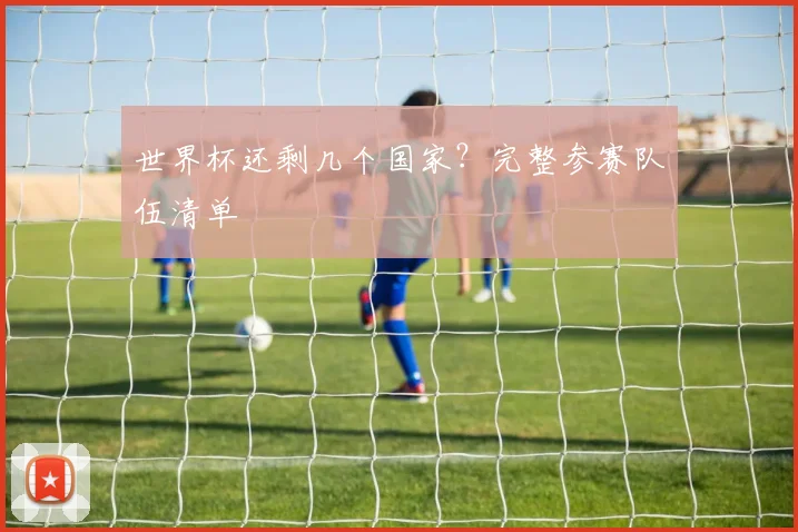 世界杯还剩几个国家？完整参赛队伍清单