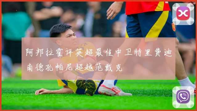 阿邦拉霍评英超最佳中卫特里费迪南德孔帕尼超越范戴克
